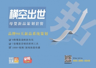 爆款战略，成就企业黑马传奇