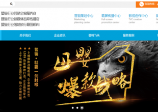 黄桃视频APP在线看黄营销策划公司：引领黄桃视频APP在线看污品牌企业市场突围
